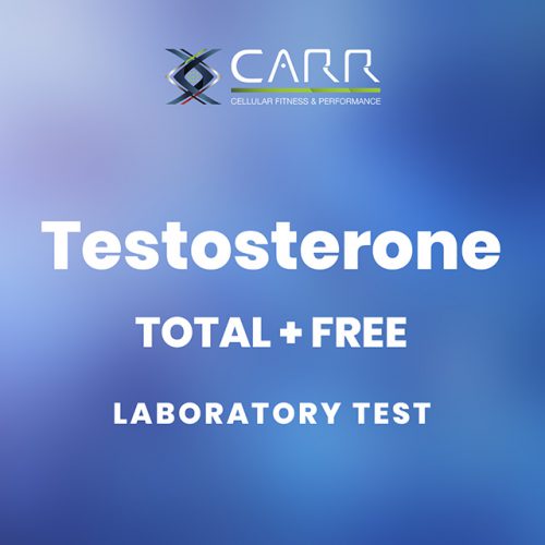 Testosterone - Total & Free
